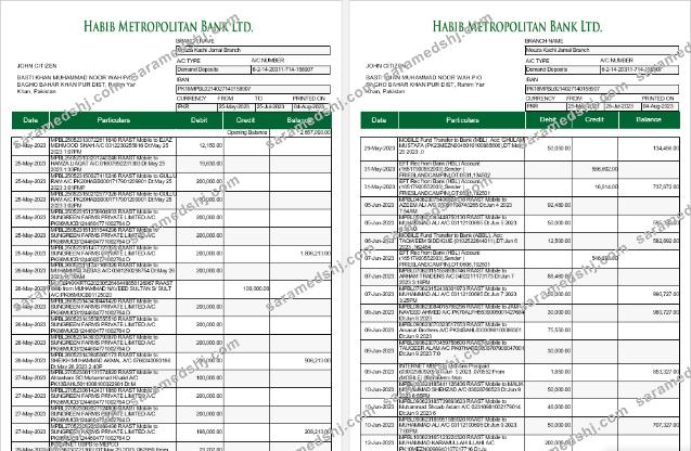 Pakistan Habib Metropolitan bank statement Word and PDF template, 5 pages 1 2